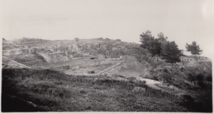 Copia di Festòs